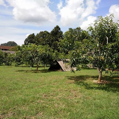 Harum Manis Country House Kangar Extérieur photo